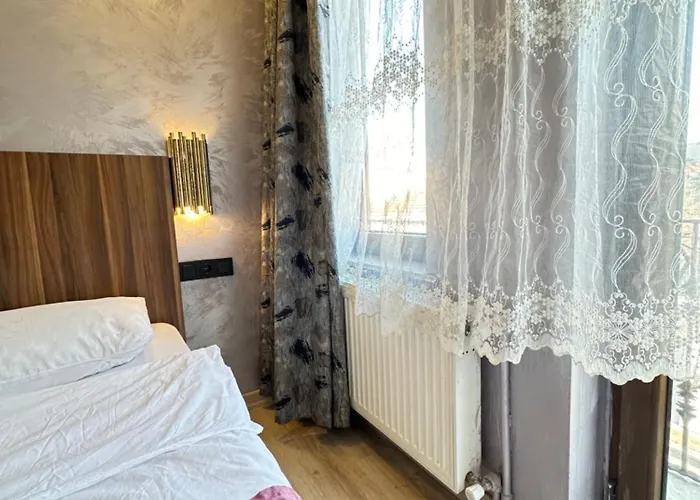 Alyon Istanbulská provincie